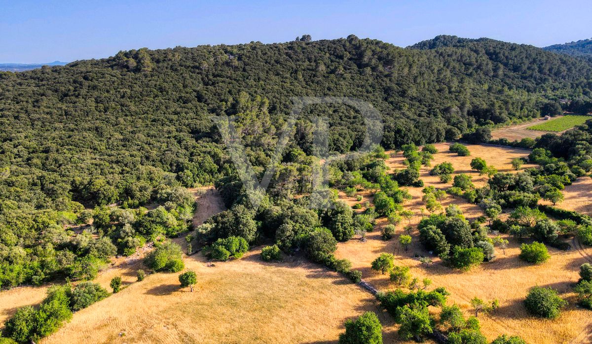 Spektakuläre Finca 40 Hektar mit Blick auf das Meer in Pollensa