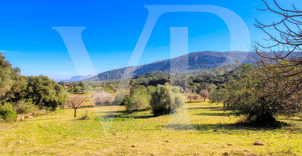 Spektakuläre Finca 40 Hektar mit Blick auf das Meer in Pollensa