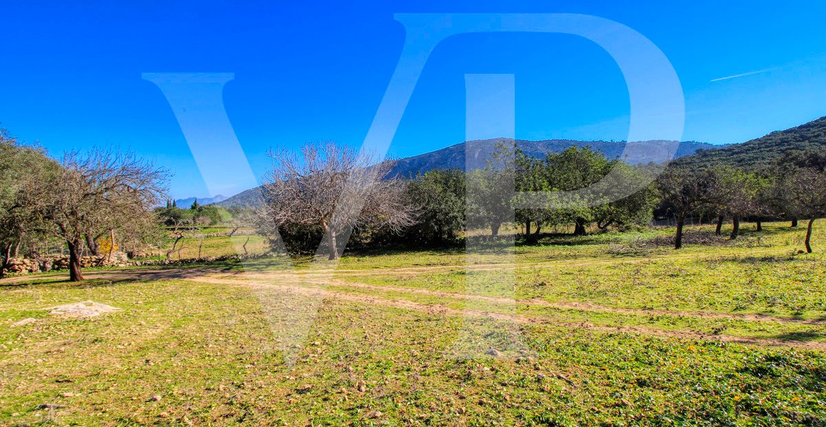Spektakuläre Finca 40 Hektar mit Blick auf das Meer in Pollensa