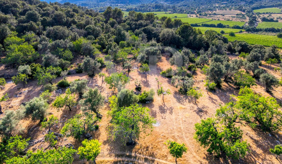 Spektakuläre Finca 40 Hektar mit Blick auf das Meer in Pollensa