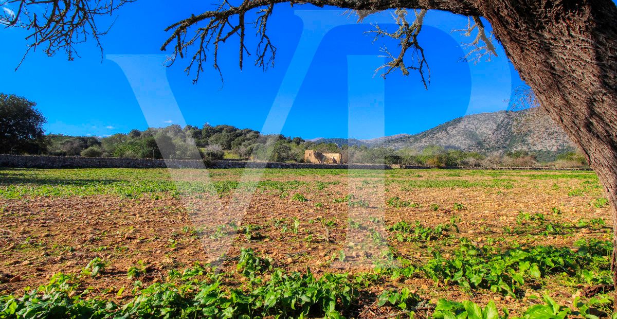 Spektakuläre Finca 40 Hektar mit Blick auf das Meer in Pollensa