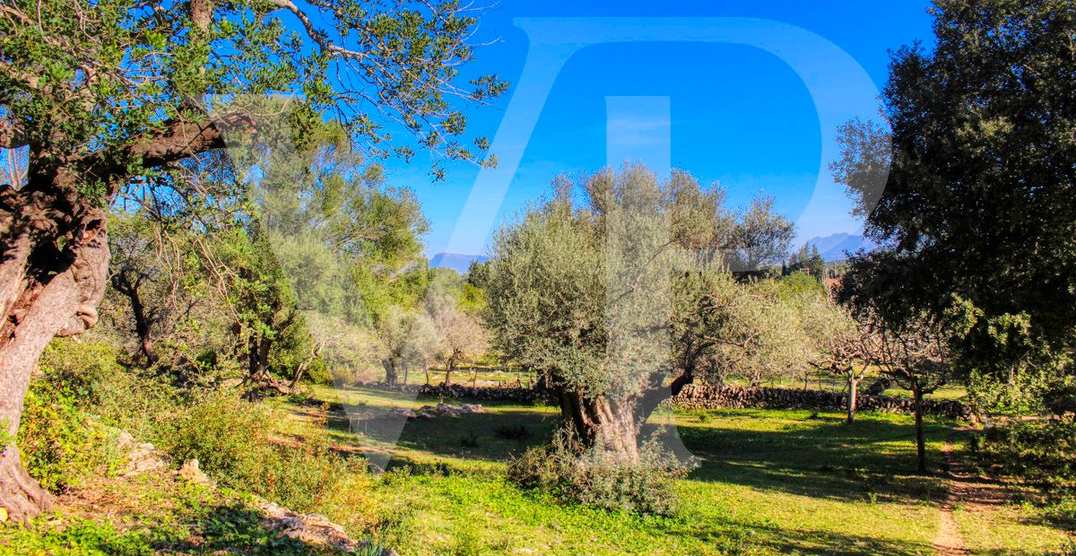 Spektakuläre Finca 40 Hektar mit Blick auf das Meer in Pollensa