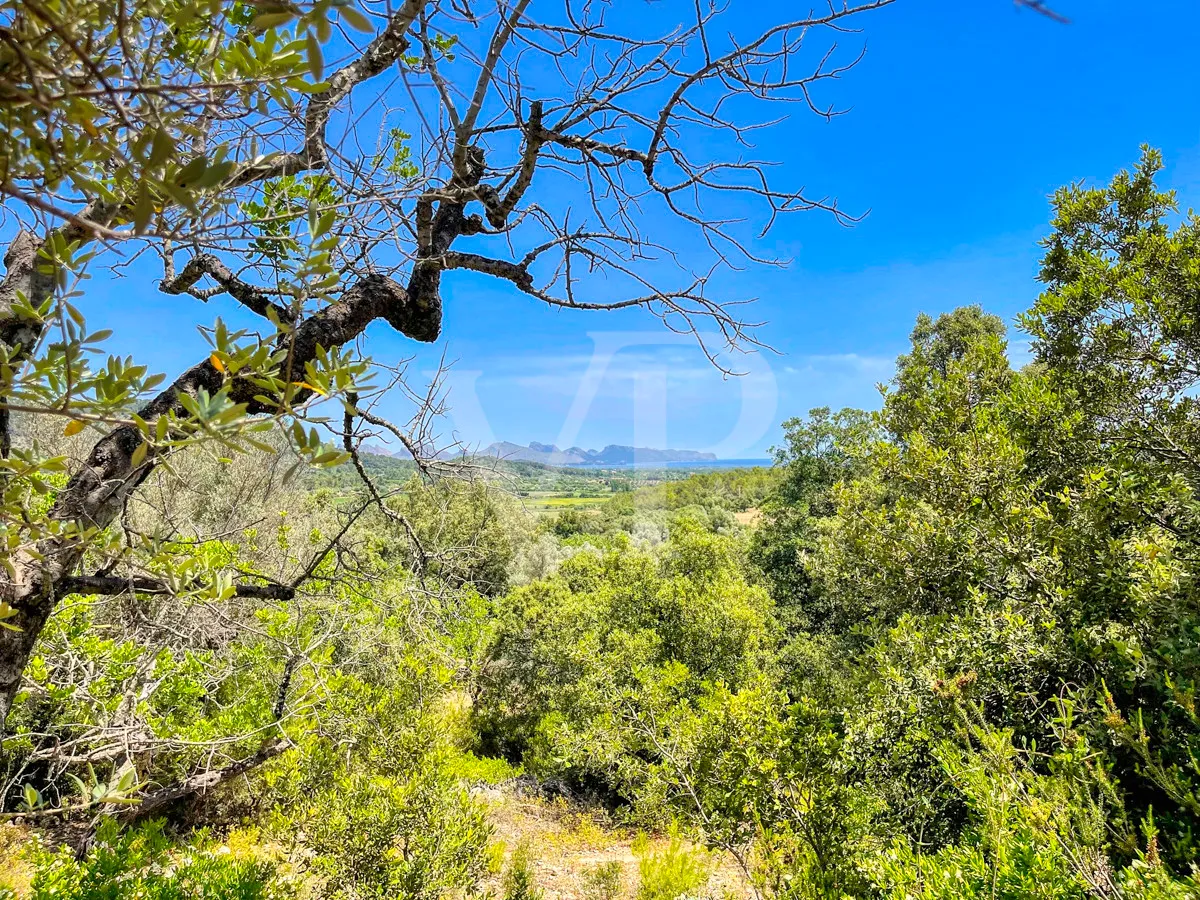 Spektakuläre Finca 40 Hektar mit Blick auf das Meer in Pollensa