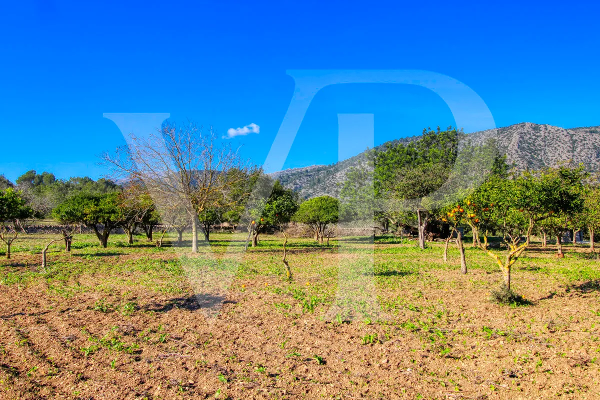 Spektakuläre Finca 40 Hektar mit Blick auf das Meer in Pollensa