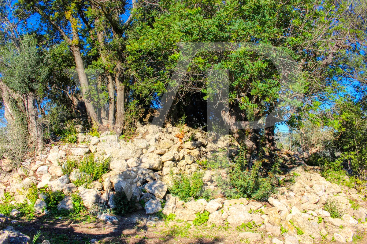 Spektakuläre Finca 40 Hektar mit Blick auf das Meer in Pollensa
