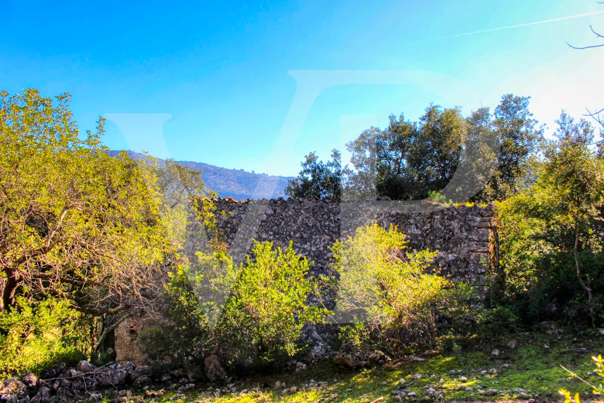 Spektakuläre Finca 40 Hektar mit Blick auf das Meer in Pollensa