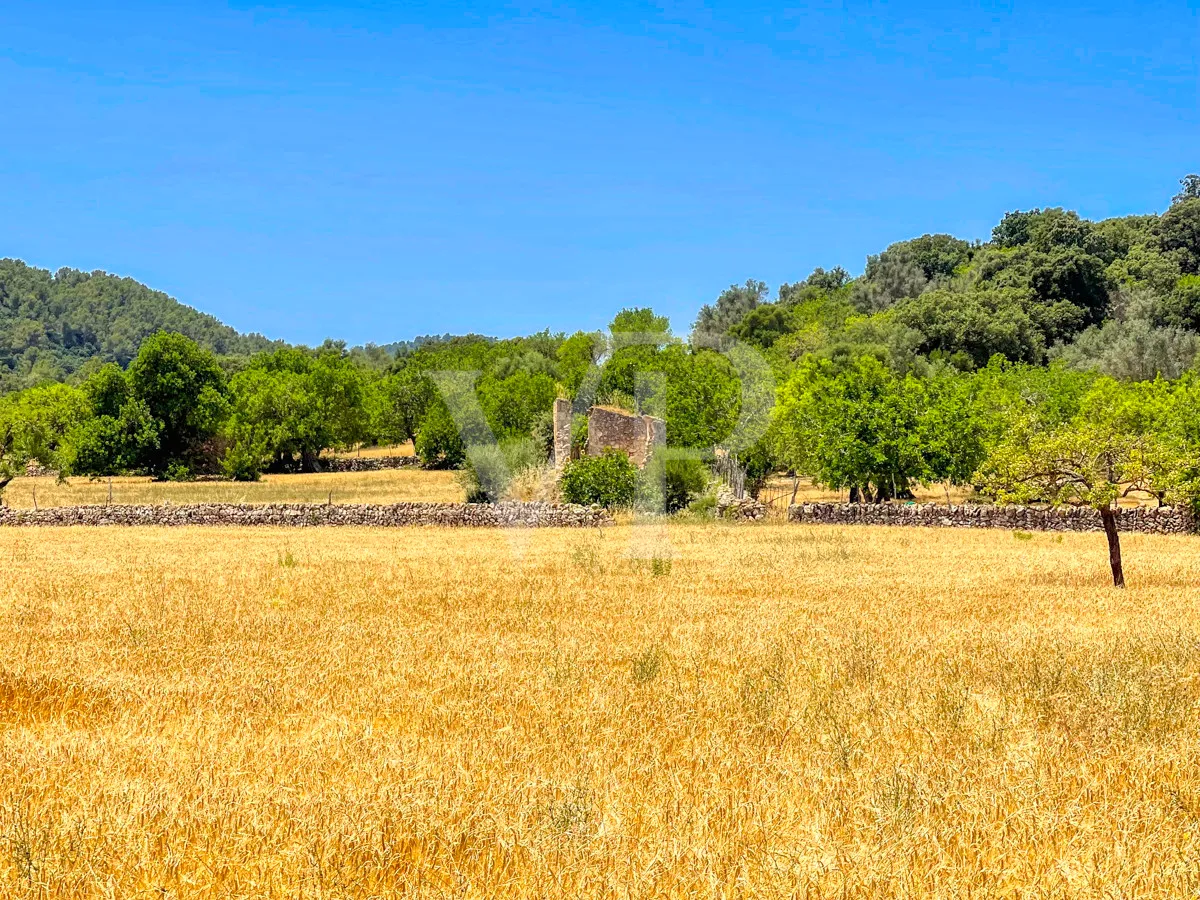Spektakuläre Finca 40 Hektar mit Blick auf das Meer in Pollensa