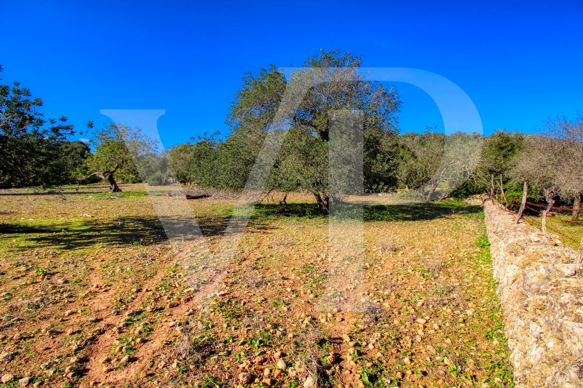Spektakuläre Finca 40 Hektar mit Blick auf das Meer in Pollensa