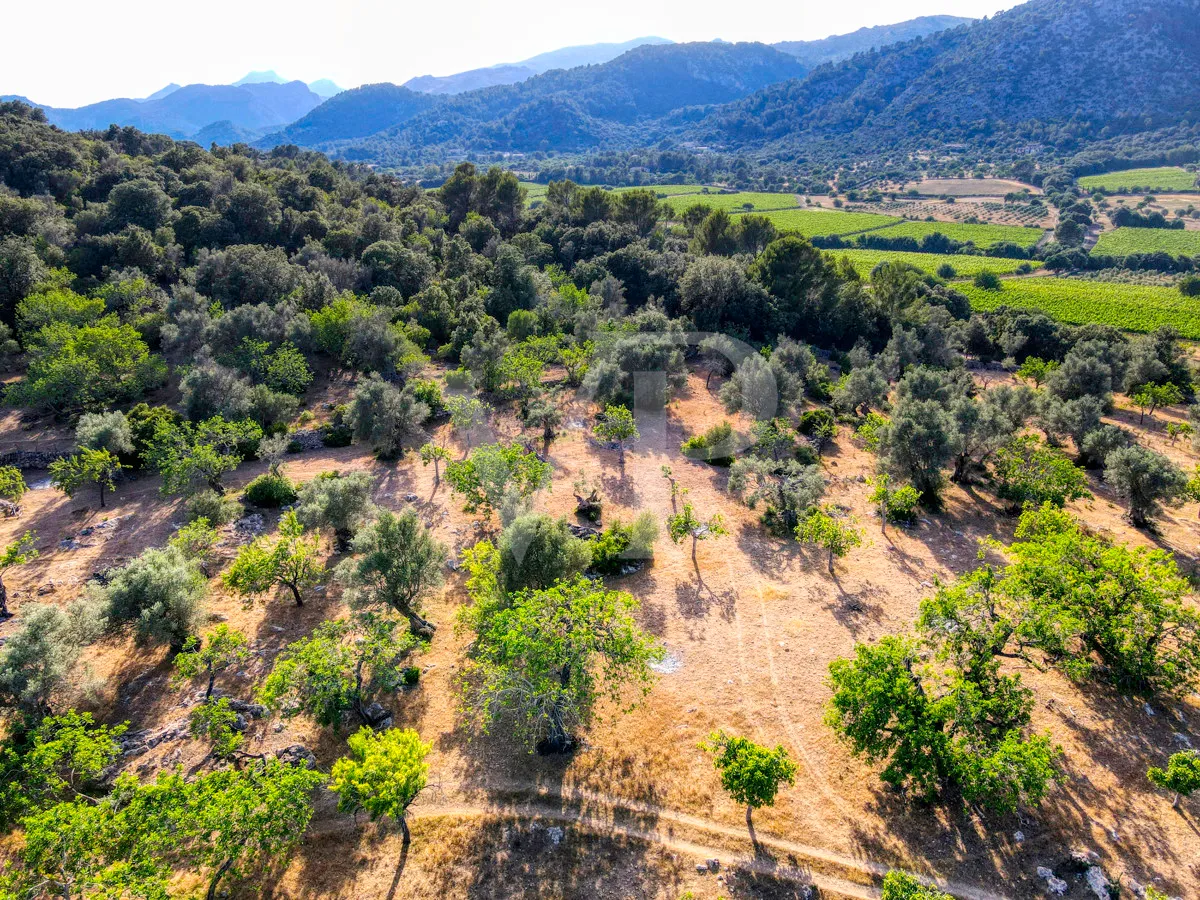 Spektakuläre Finca 40 Hektar mit Blick auf das Meer in Pollensa