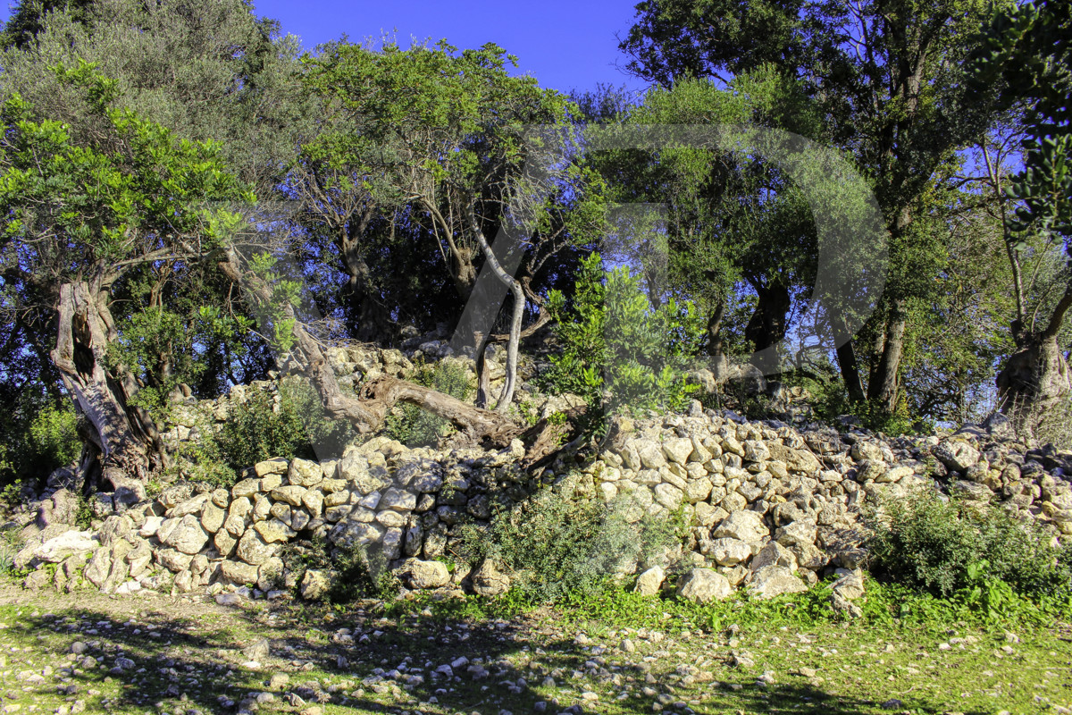 Spektakuläre Finca 40 Hektar mit Blick auf das Meer in Pollensa