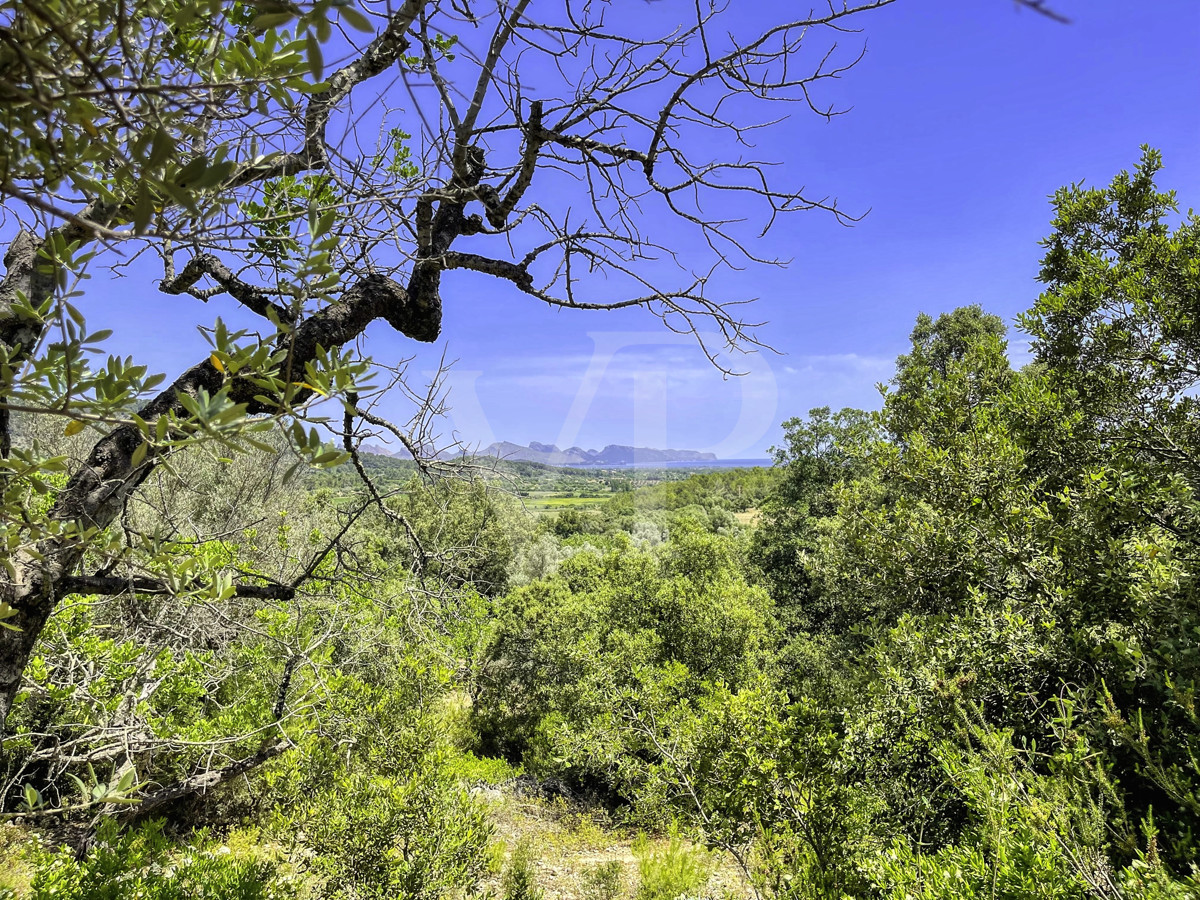 Spektakuläre Finca 40 Hektar mit Blick auf das Meer in Pollensa