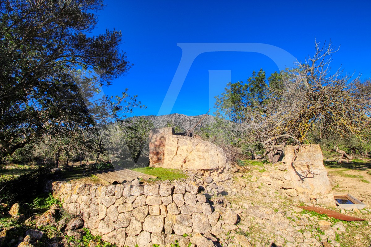 Spektakuläre Finca 40 Hektar mit Blick auf das Meer in Pollensa