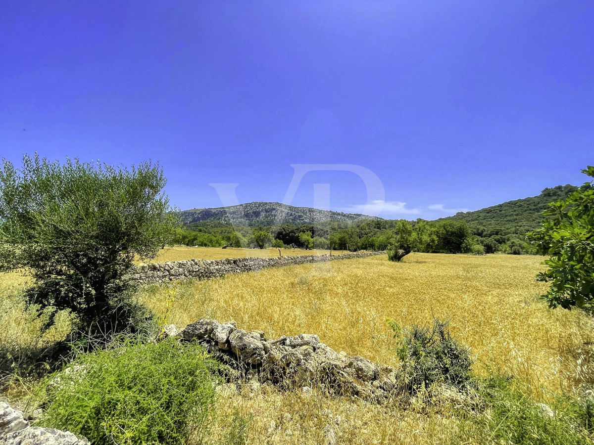 Spektakuläre Finca 40 Hektar mit Blick auf das Meer in Pollensa