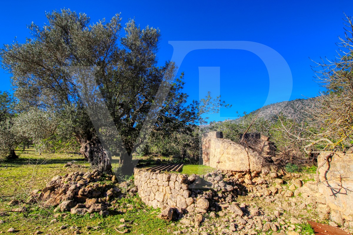 Spektakuläre Finca 40 Hektar mit Blick auf das Meer in Pollensa