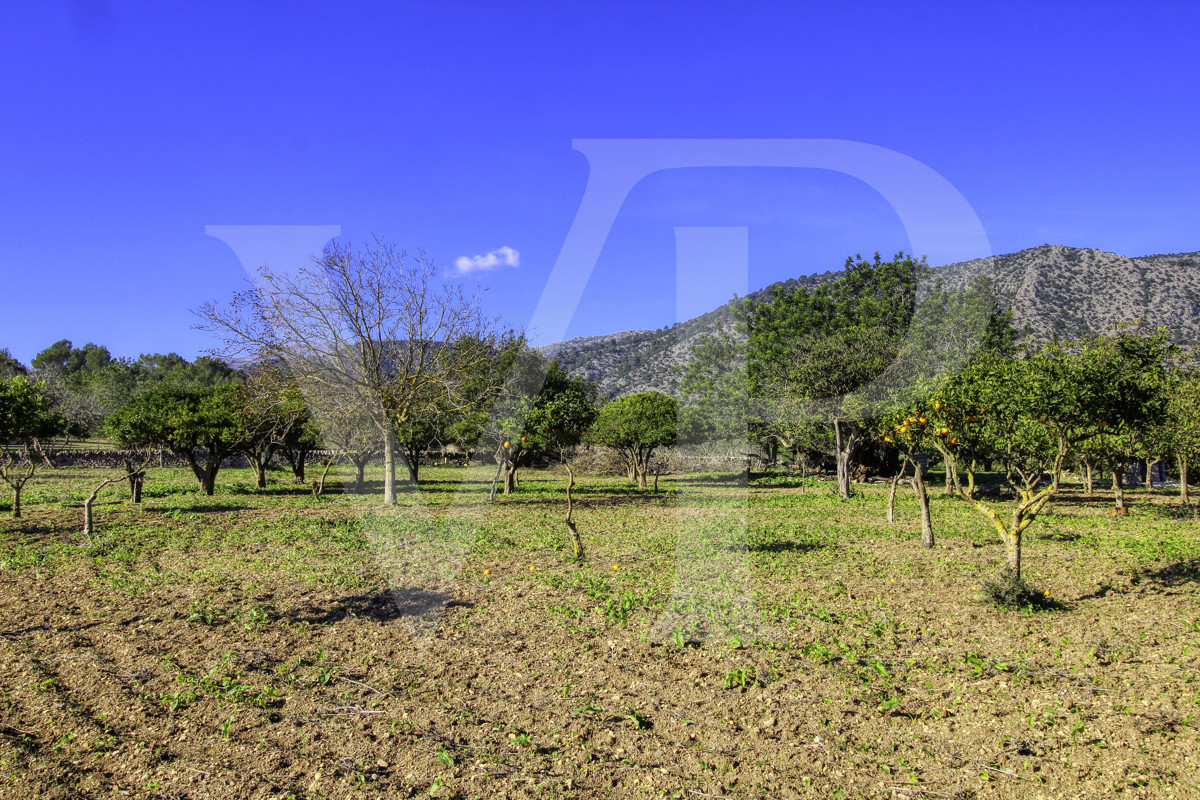 Spektakuläre Finca 40 Hektar mit Blick auf das Meer in Pollensa