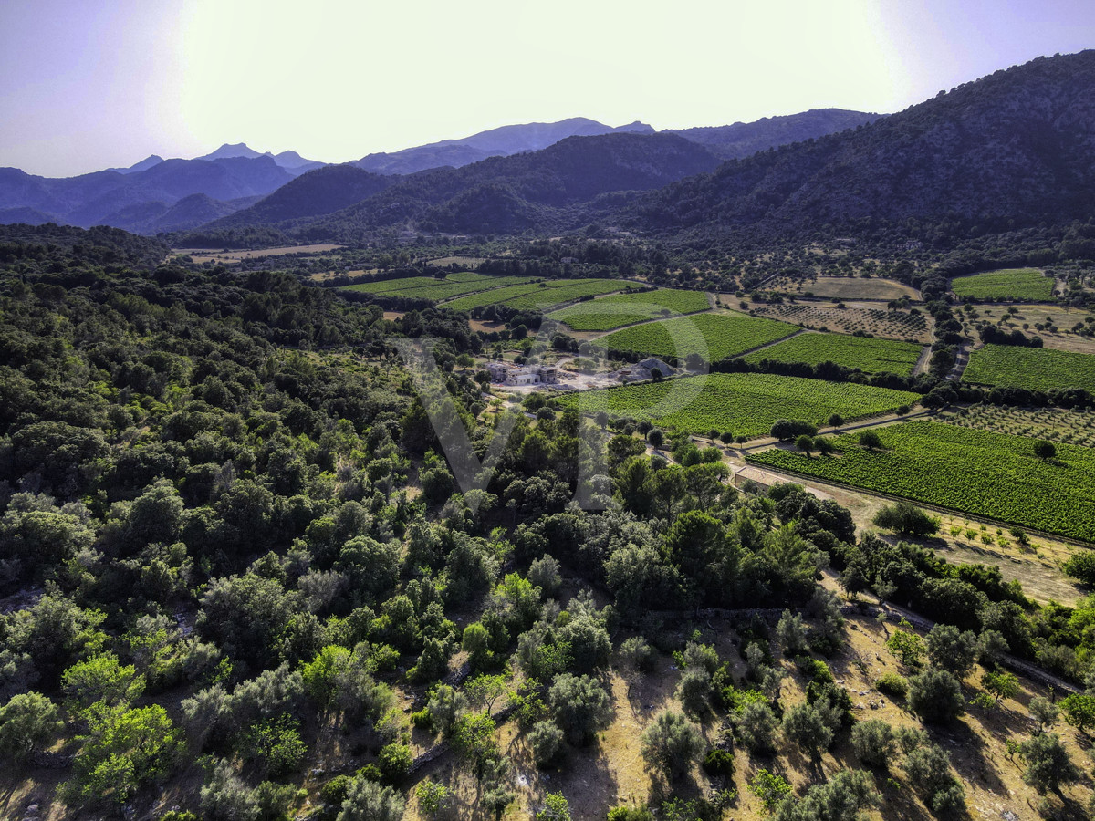 Spektakuläre Finca 40 Hektar mit Blick auf das Meer in Pollensa