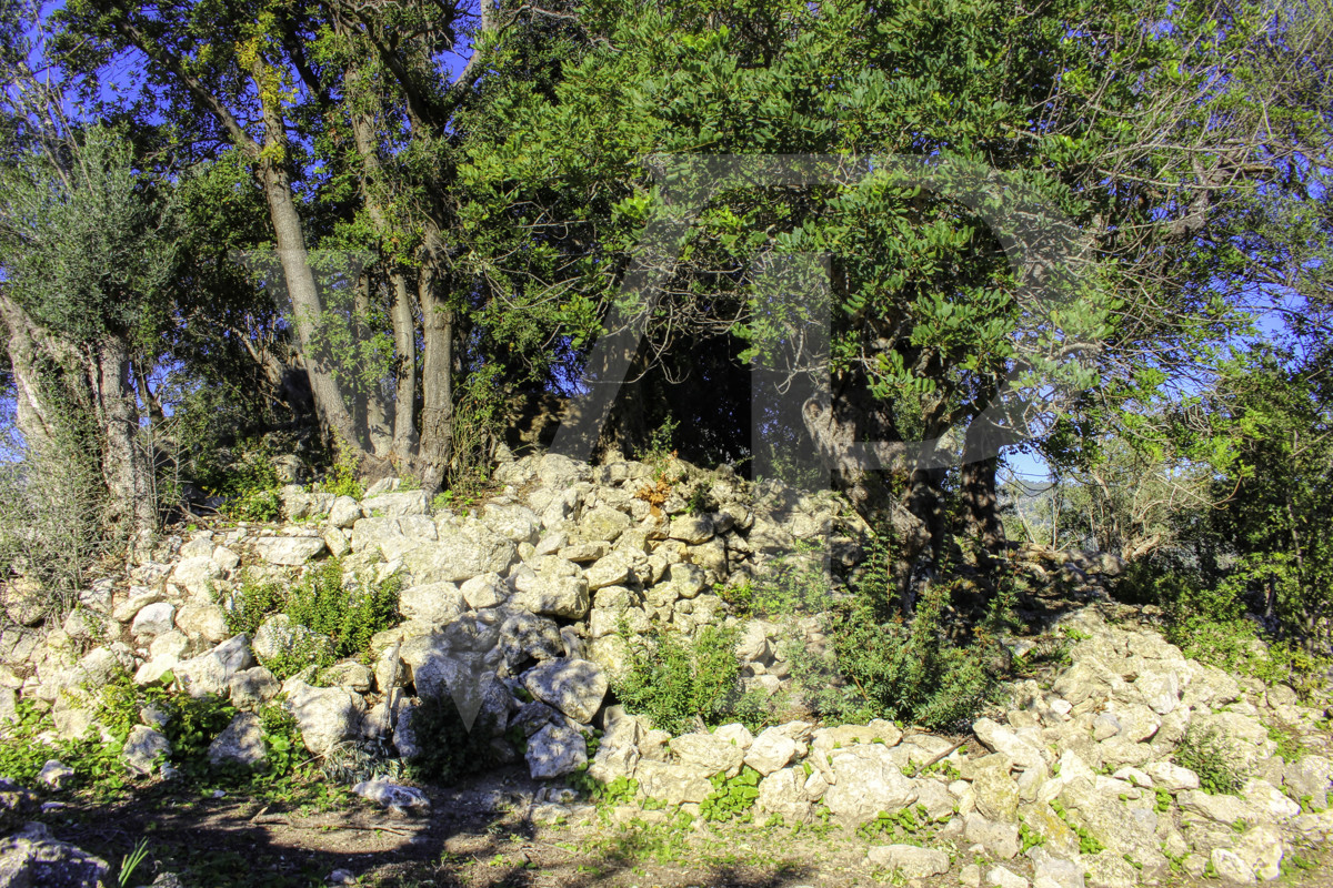 Spektakuläre Finca 40 Hektar mit Blick auf das Meer in Pollensa