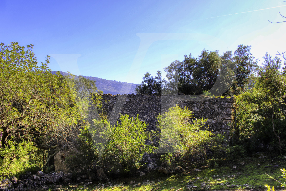 Spektakuläre Finca 40 Hektar mit Blick auf das Meer in Pollensa