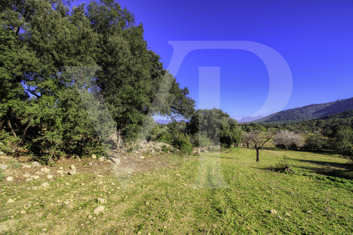 Spektakuläre Finca 40 Hektar mit Blick auf das Meer in Pollensa