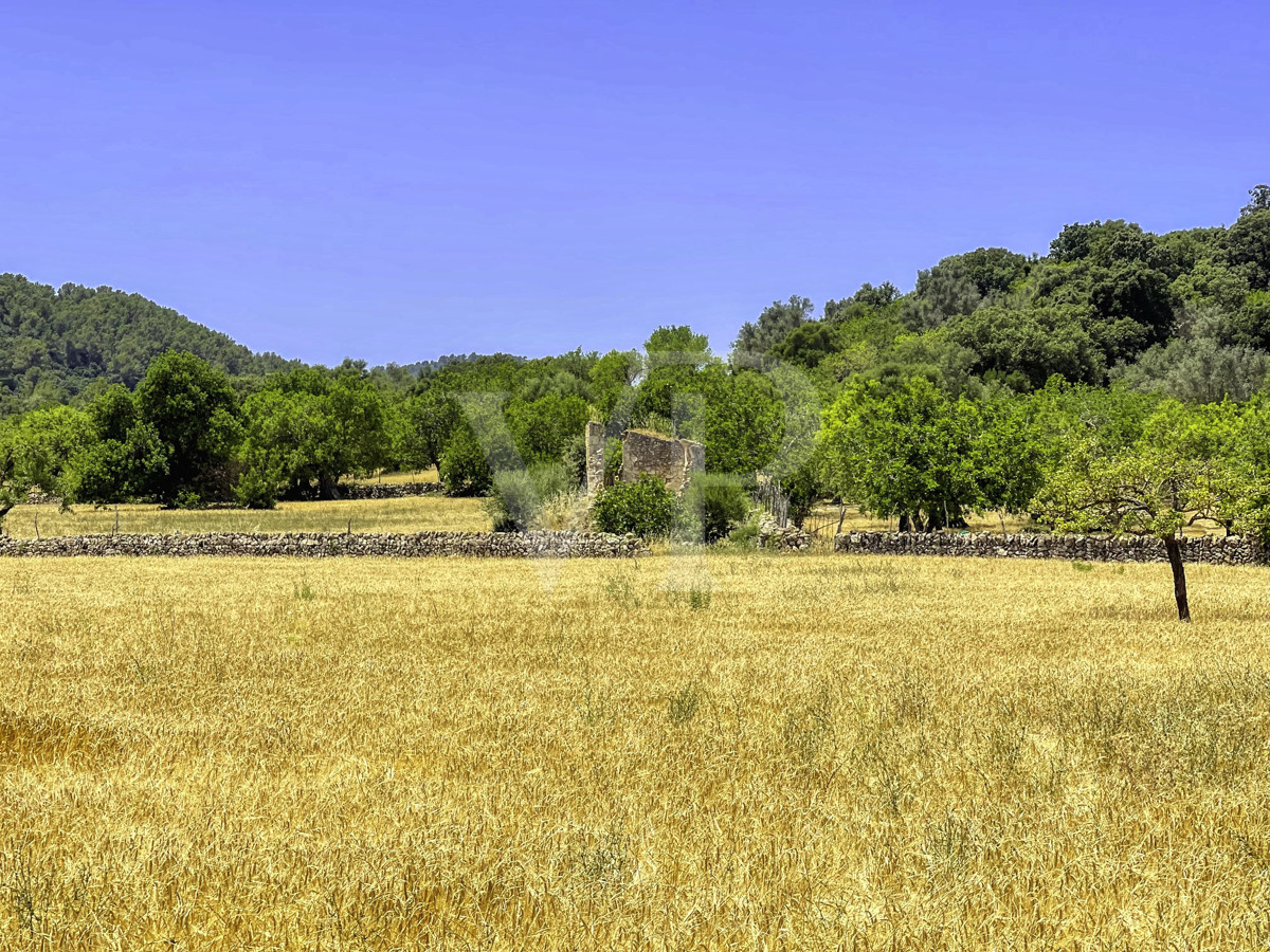 Spektakuläre Finca 40 Hektar mit Blick auf das Meer in Pollensa