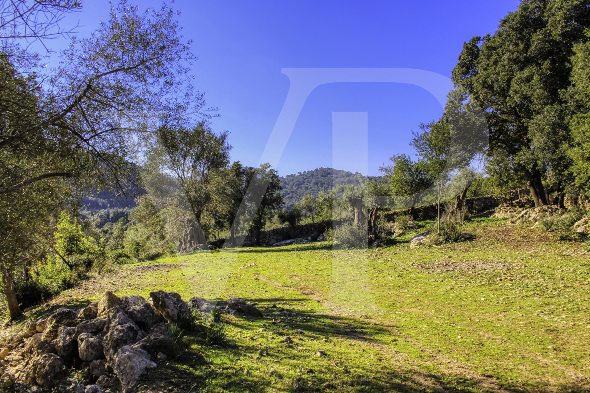 Spektakuläre Finca 40 Hektar mit Blick auf das Meer in Pollensa