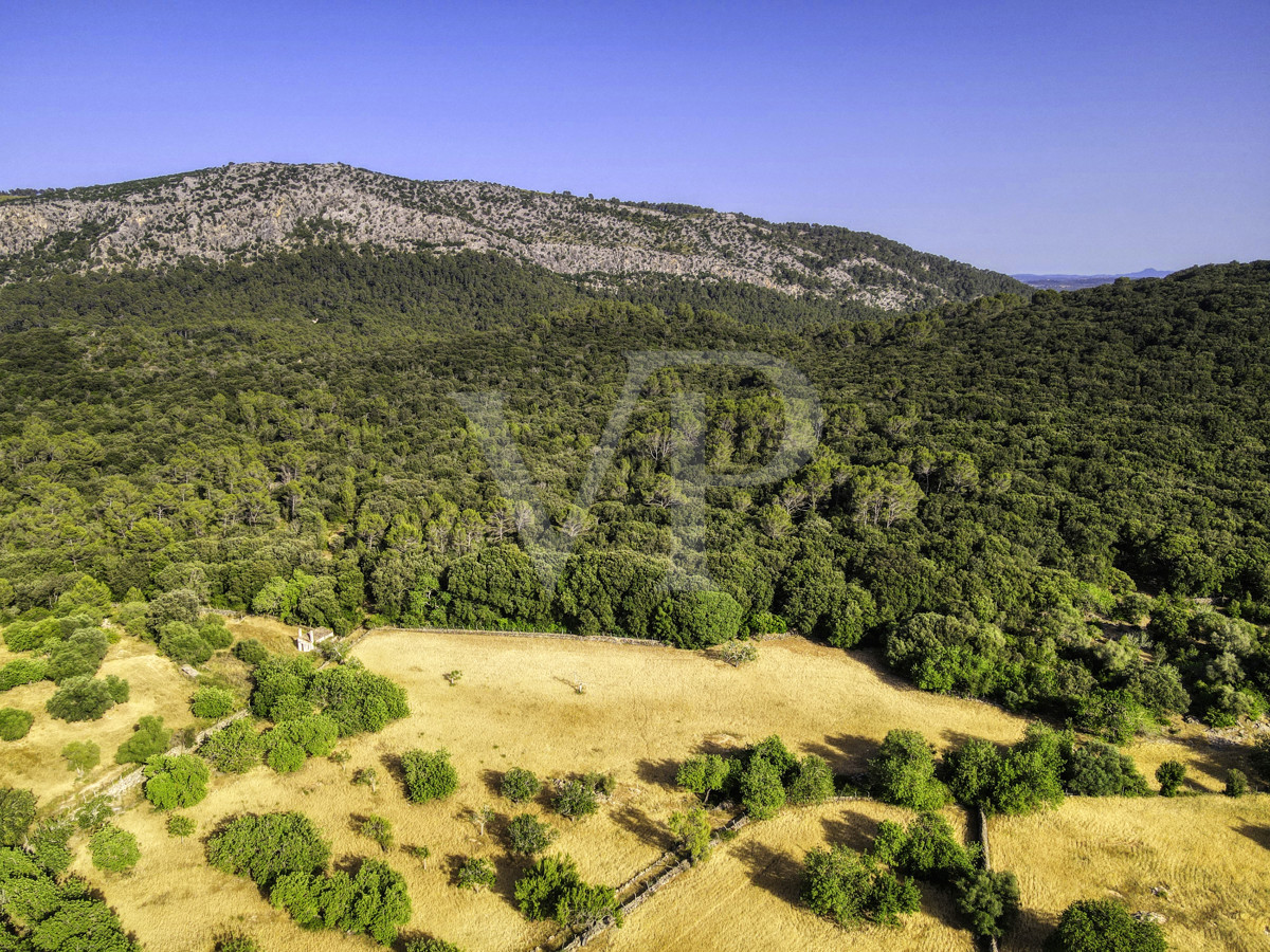 Spektakuläre Finca 40 Hektar mit Blick auf das Meer in Pollensa