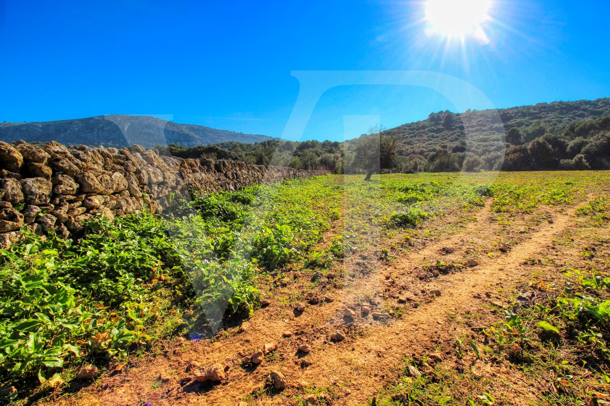 Spektakuläre Finca 40 Hektar mit Blick auf das Meer in Pollensa