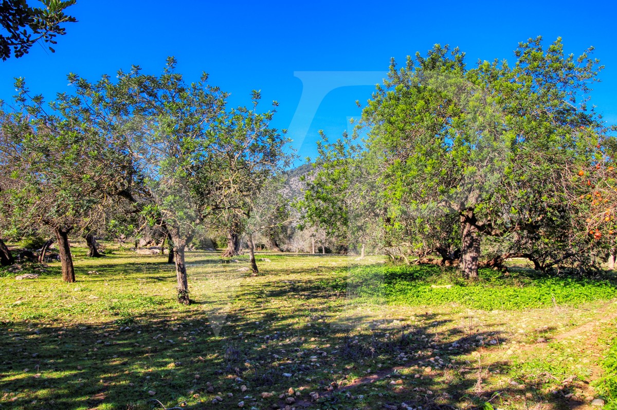 Spektakuläre Finca 40 Hektar mit Blick auf das Meer in Pollensa