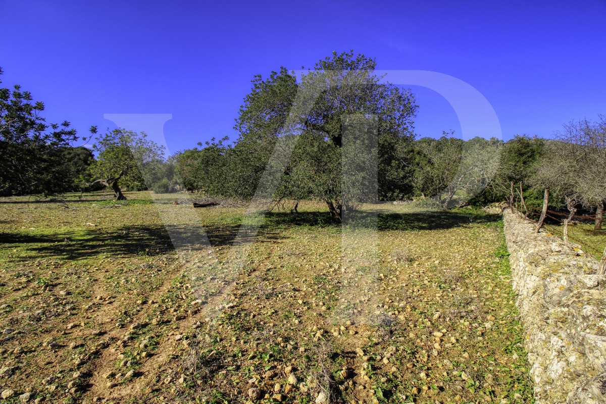 Spektakuläre Finca 40 Hektar mit Blick auf das Meer in Pollensa