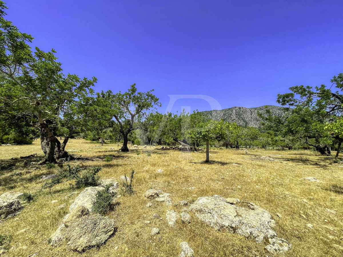 Spektakuläre Finca 40 Hektar mit Blick auf das Meer in Pollensa