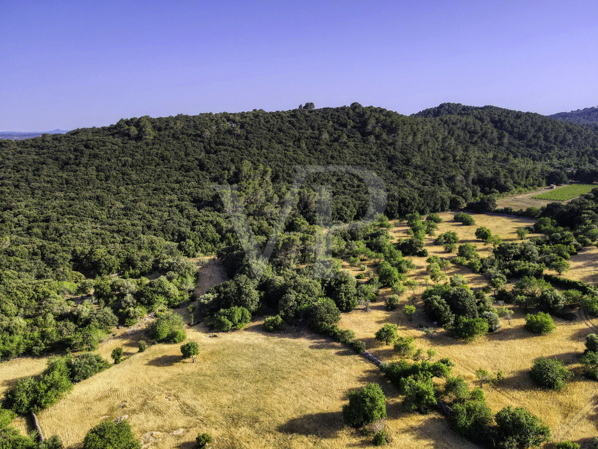 Spektakuläre Finca 40 Hektar mit Blick auf das Meer in Pollensa