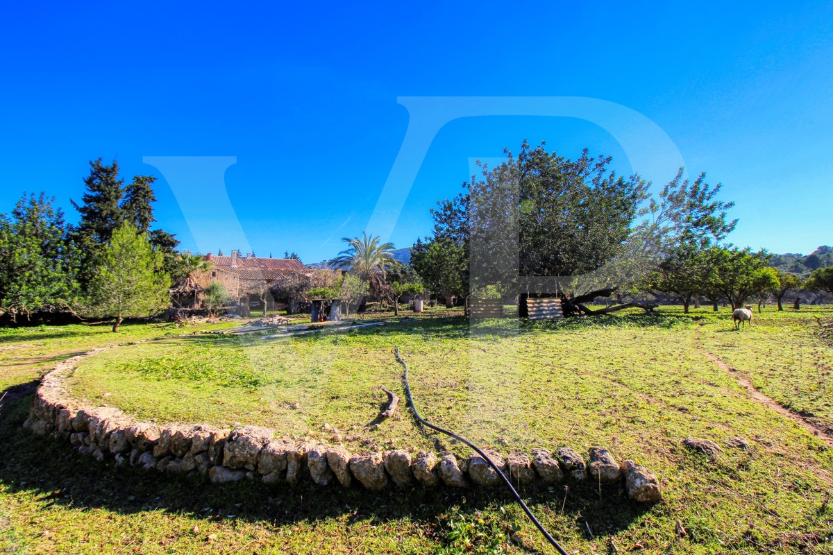 Spektakuläre Finca 40 Hektar mit Blick auf das Meer in Pollensa