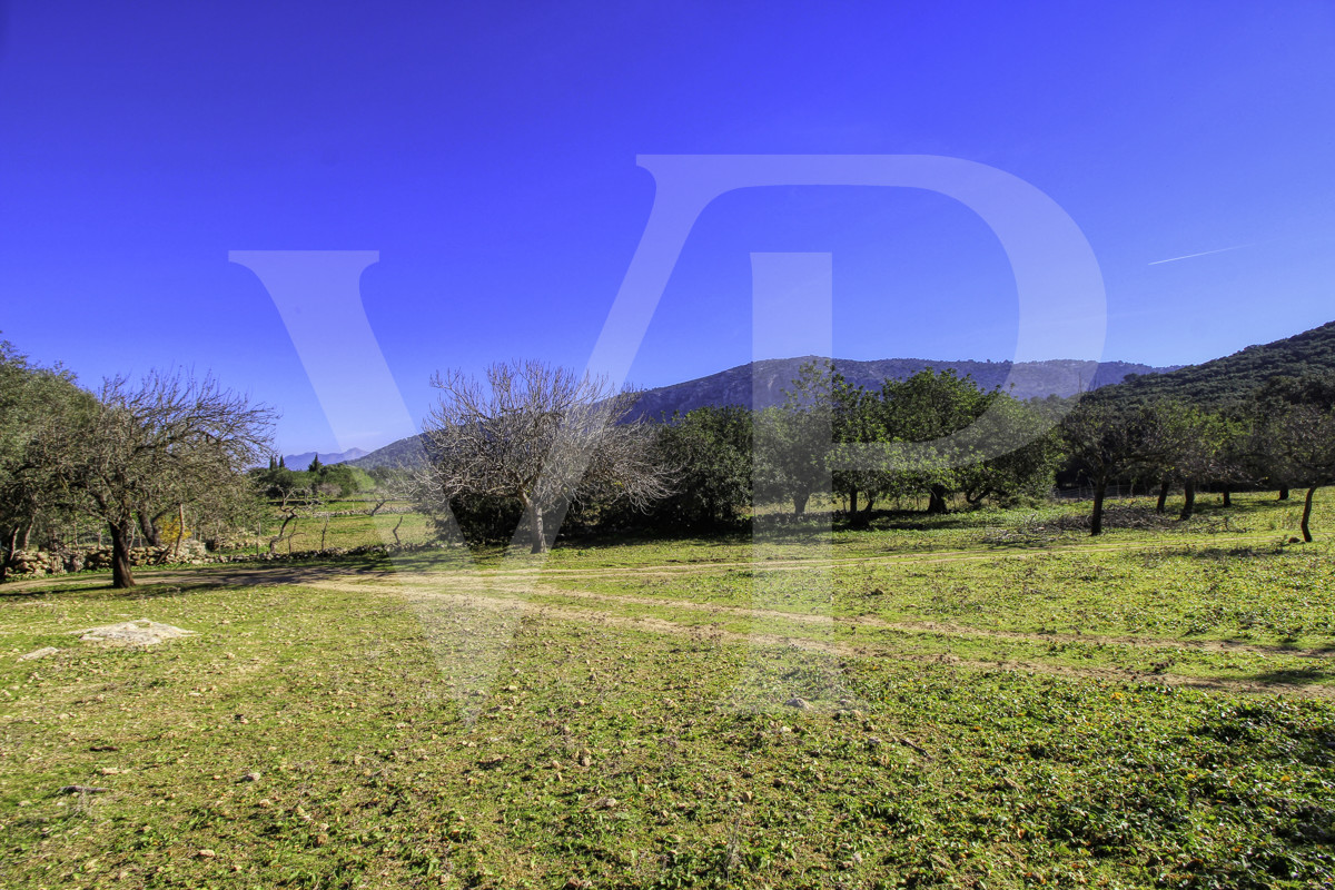 Spektakuläre Finca 40 Hektar mit Blick auf das Meer in Pollensa