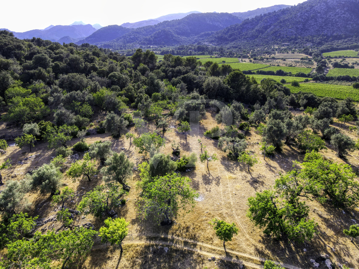 Spektakuläre Finca 40 Hektar mit Blick auf das Meer in Pollensa