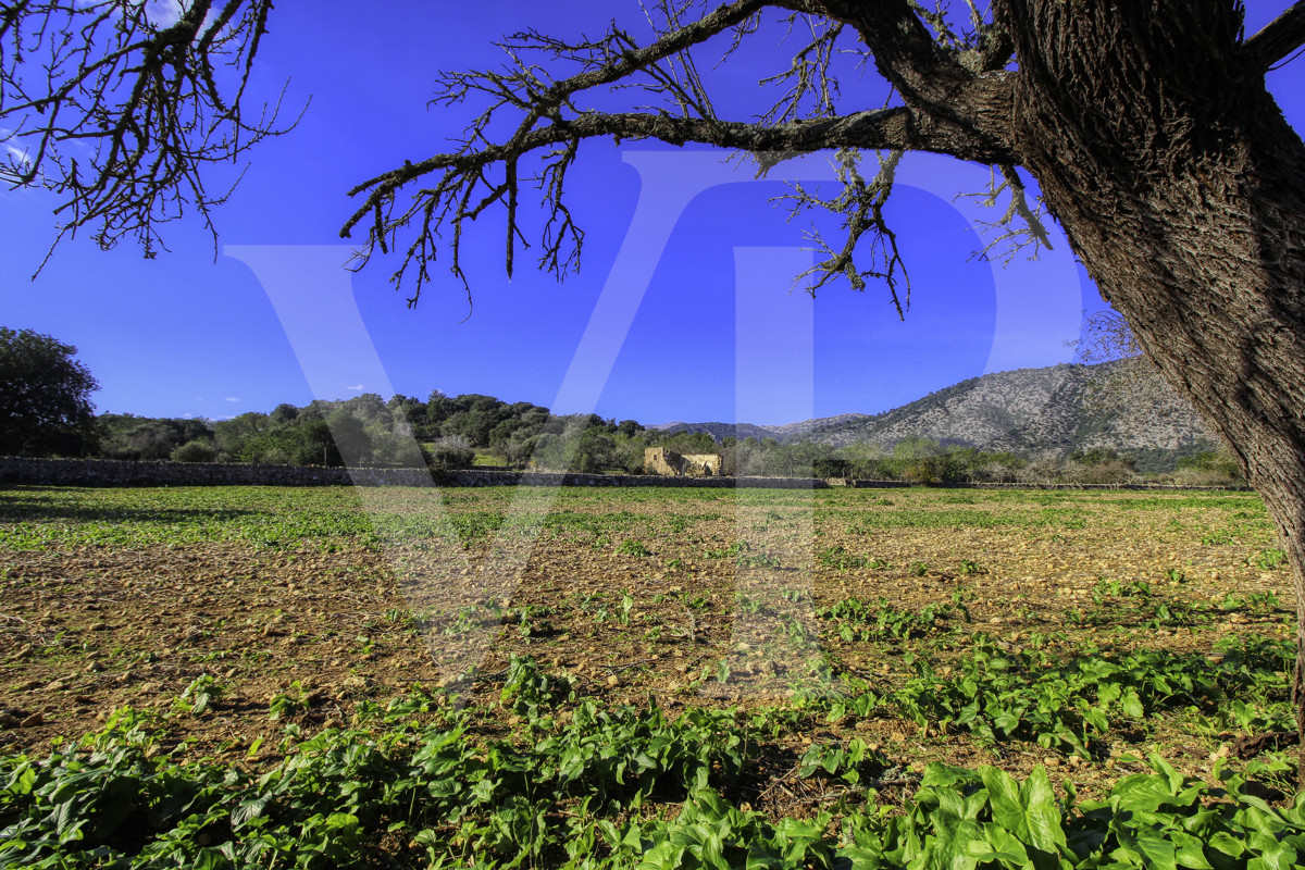 Spektakuläre Finca 40 Hektar mit Blick auf das Meer in Pollensa