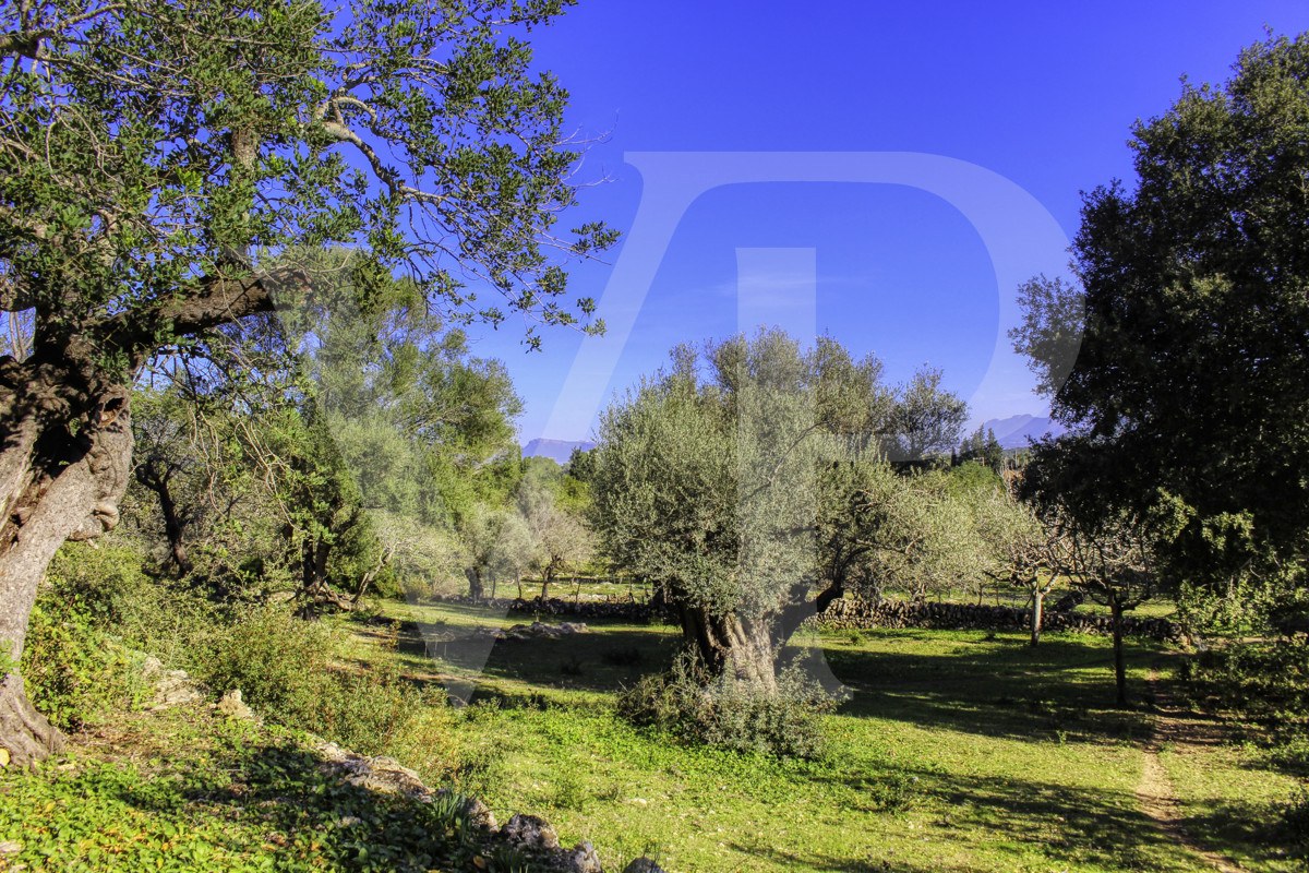 Spektakuläre Finca 40 Hektar mit Blick auf das Meer in Pollensa