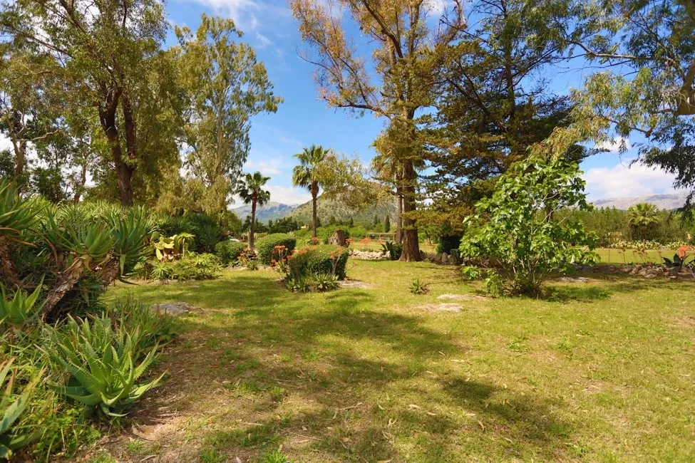 Outside of the Finca near Pollensa, Mallorca