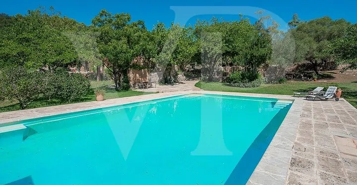 Foto_158001_original