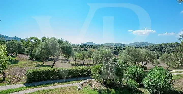 Foto_158031_original