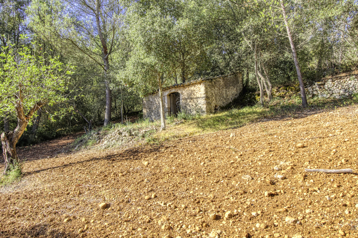 Preciosa-finca-rústica-con-licencia-obra-aprobada-para-construir-casa-y-piscina-en-Campanet
