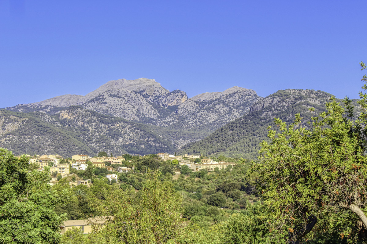 Preciosa-finca-rústica-con-licencia-obra-aprobada-para-construir-casa-y-piscina-en-Campanet