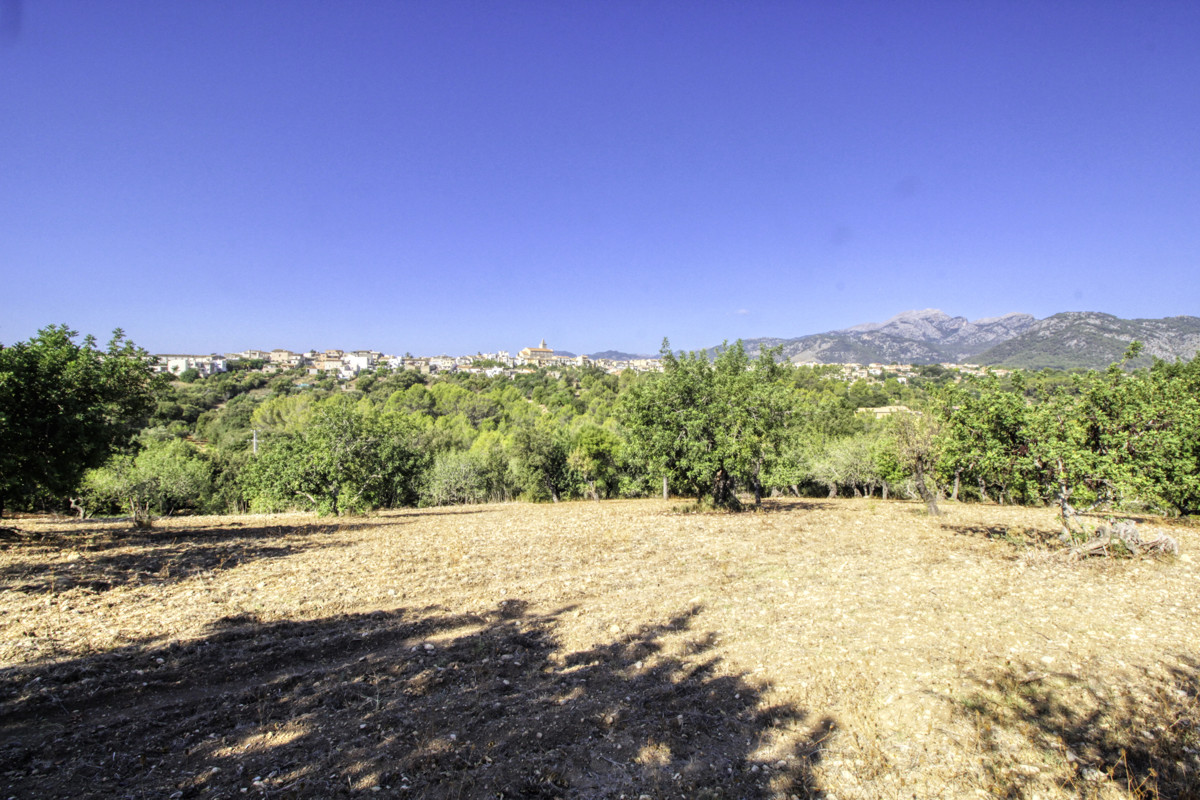 Preciosa-finca-rústica-con-licencia-obra-aprobada-para-construir-casa-y-piscina-en-Campanet