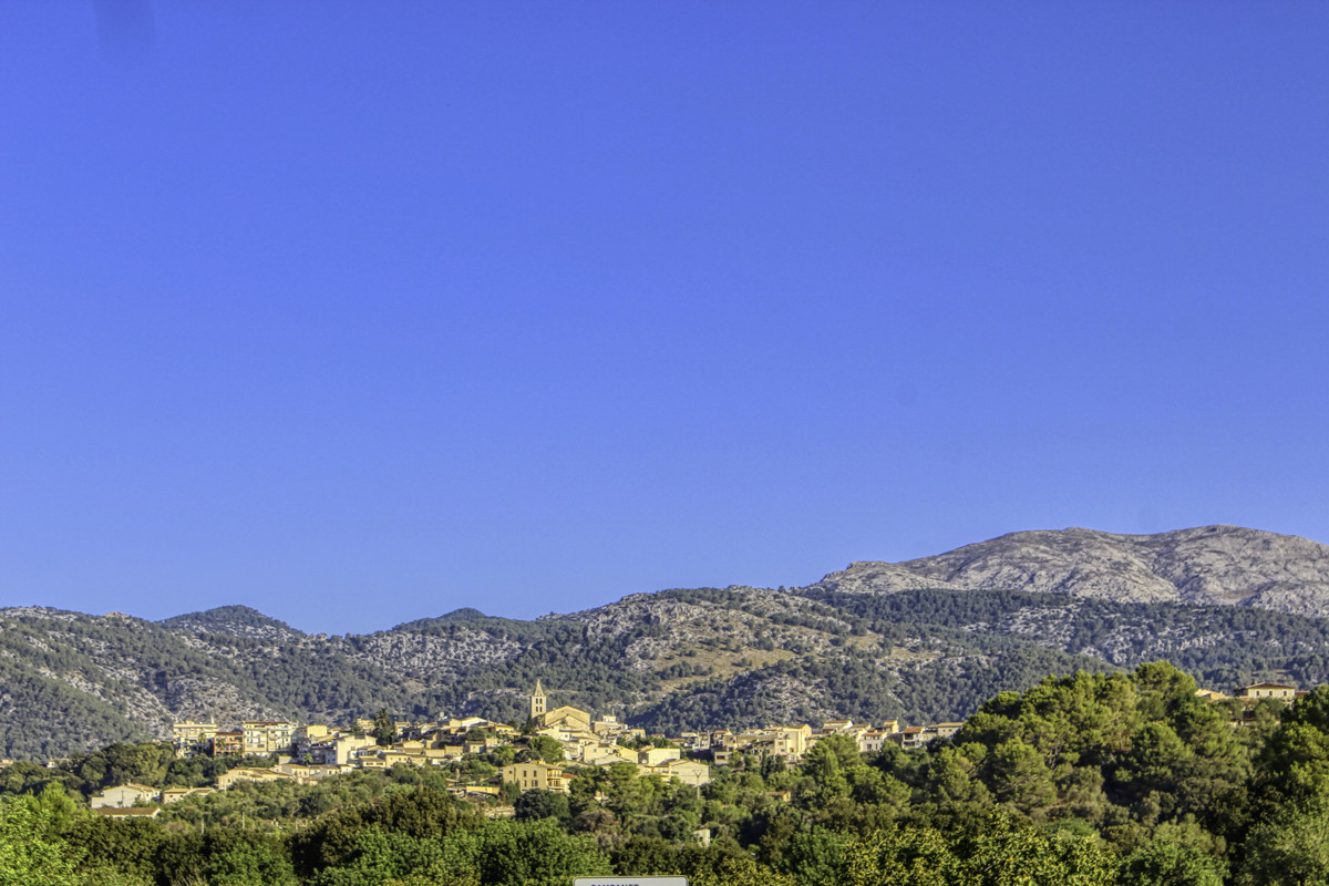Preciosa-finca-rústica-con-licencia-obra-aprobada-para-construir-casa-y-piscina-en-Campanet