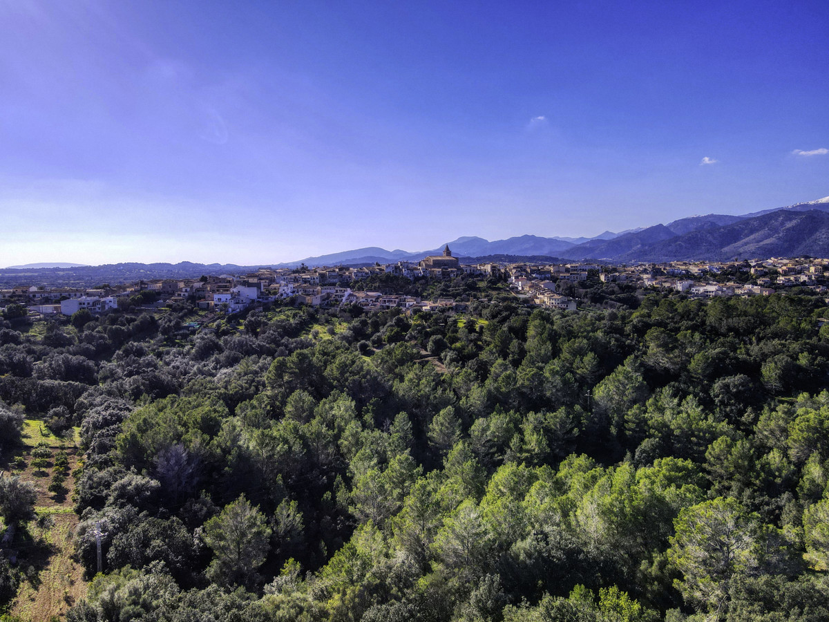 Preciosa-finca-rústica-con-licencia-obra-aprobada-para-construir-casa-y-piscina-en-Campanet