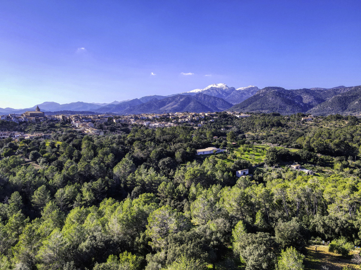 Preciosa-finca-rústica-con-licencia-obra-aprobada-para-construir-casa-y-piscina-en-Campanet
