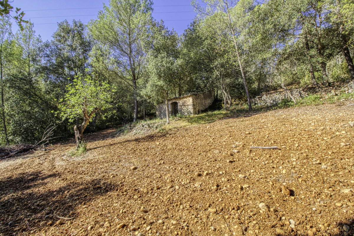 Preciosa-finca-rústica-con-licencia-obra-aprobada-para-construir-casa-y-piscina-en-Campanet