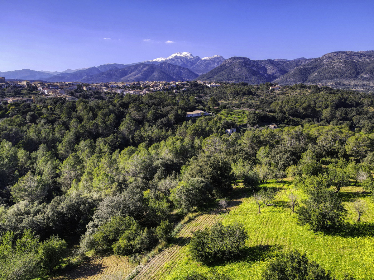 Preciosa-finca-rústica-con-licencia-obra-aprobada-para-construir-casa-y-piscina-en-Campanet
