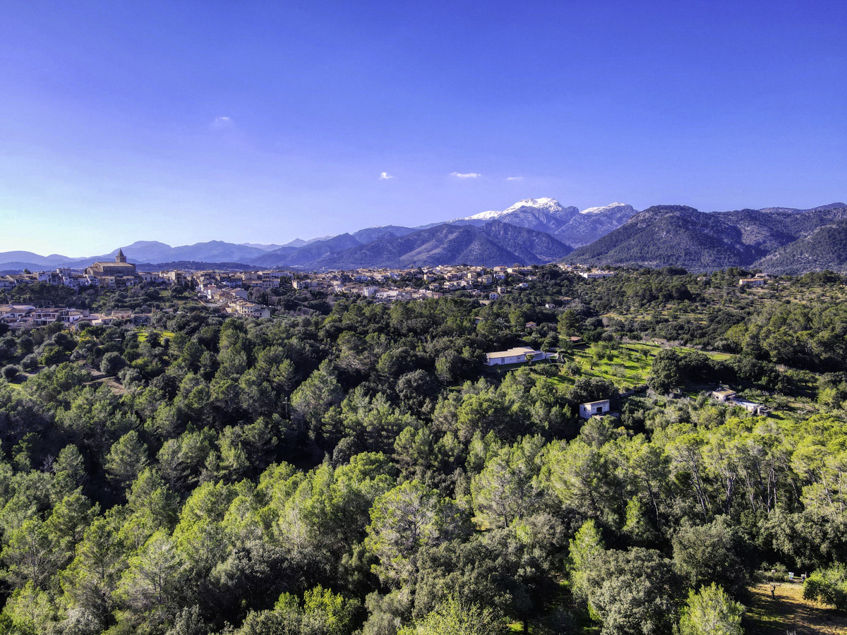 Preciosa-finca-rústica-con-licencia-obra-aprobada-para-construir-casa-y-piscina-en-Campanet