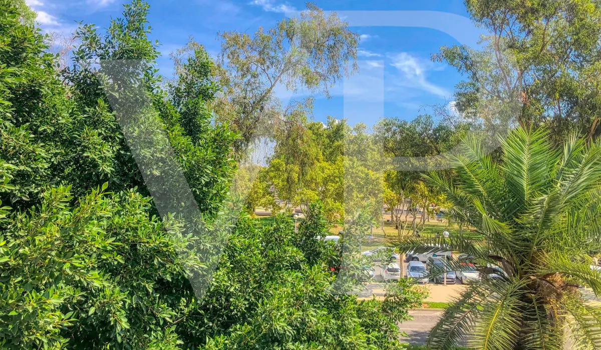 luxuriöse-komplett-renovierte-Wohnung-in-einem-gebäude-an-der-strandpromenade-von-palma-de-mallorca