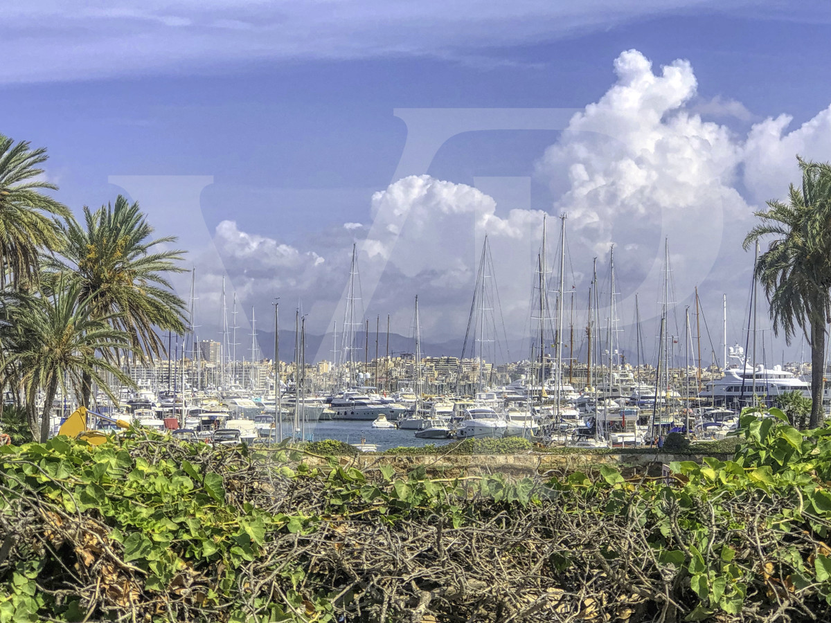 luxuriöse-komplett-renovierte-Wohnung-in-einem-gebäude-an-der-strandpromenade-von-palma-de-mallorca